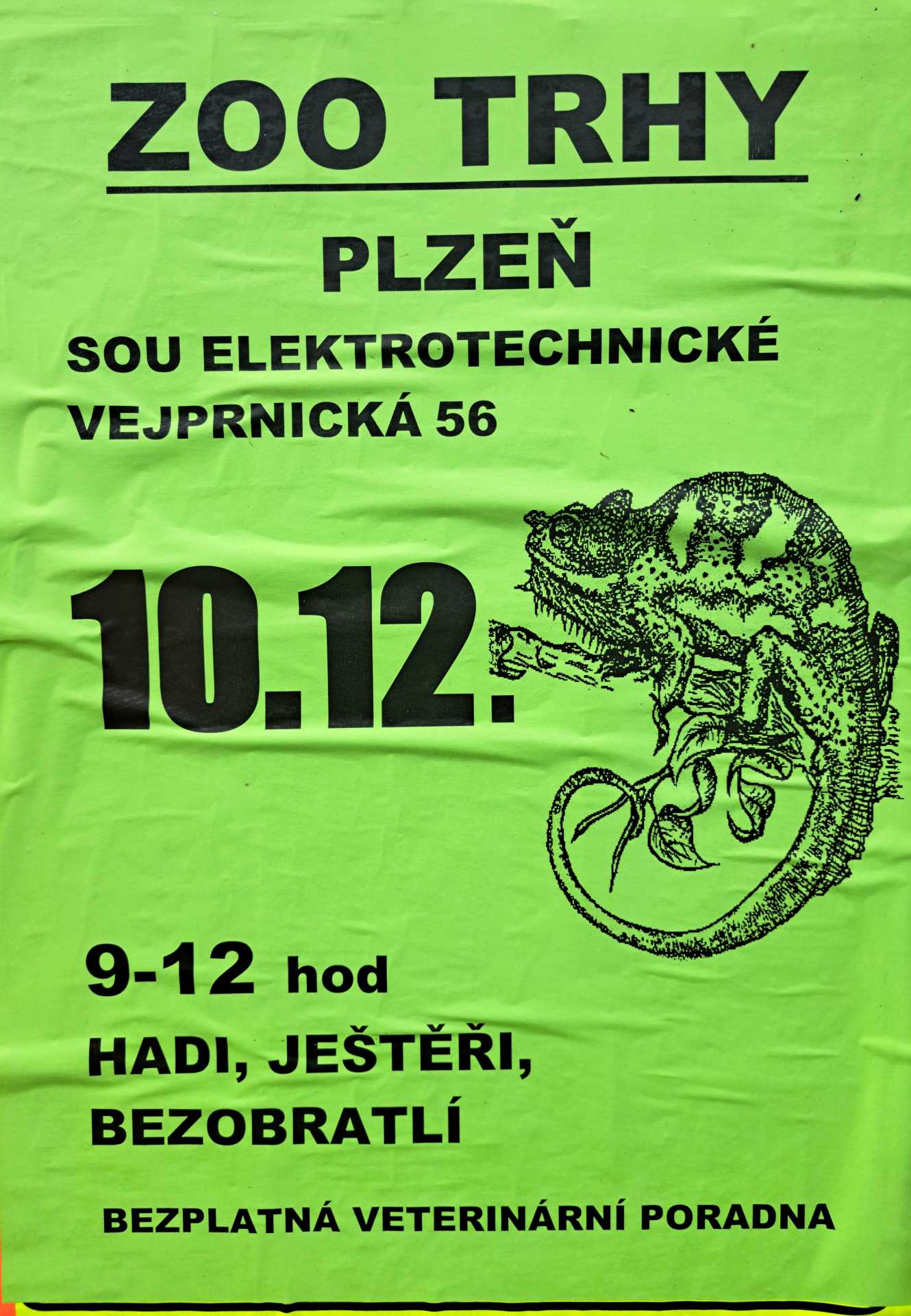 Pozvánka na zoo trhy v Plzni